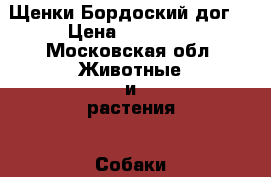 Щенки Бордоский дог  › Цена ­ 30 000 - Московская обл. Животные и растения » Собаки   